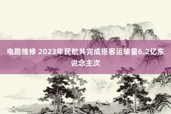电路维修 2023年民航共完成搭客运输量6.2亿东说念主次